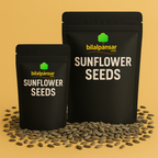 Sunflower seeds 500 gm.